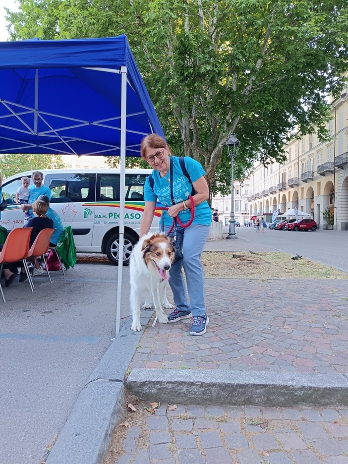 Storie di gatti e animali in cattedra a Calamandrana: incontro con la veterinaria scrittrice Fulvia Dorigo