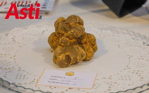 Galleria fotografica a cura di Merfephoto - Efrem Zanchettin