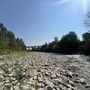 Siccità, il Piemonte avvia le procedure per le richieste dello stato di calamità Siccità, il Piemonte avvia le procedure per le richieste dello stato di calamità
