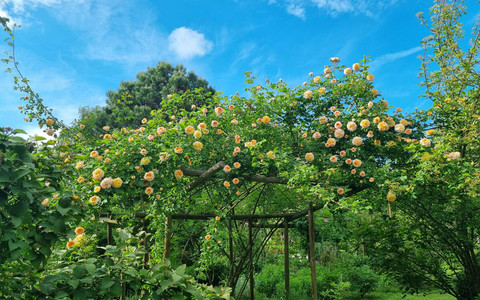 Il Fai riapre le porte del Giardino segreto di Arianna