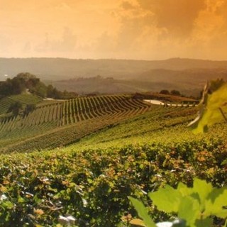 Le colline di Langhe, Roero e Monferrato patrimonio Unesco al centro del viaggio social di Miss Italia