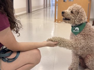 Il cagnolino Gummy con una operatrice Il cagnolino Gummy con una operatrice