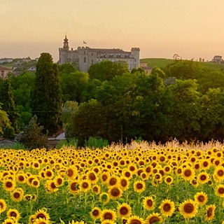 Una suggestiva immagine di Costigliole d'Asti &quot;vista&quot; da un campo di girasoli e con, sullo sfondo, il maestoso castello del paese