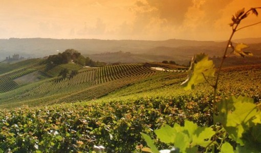 Le colline di Langhe, Roero e Monferrato patrimonio Unesco al centro del viaggio social di Miss Italia