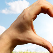 Servizio civile universale: un posto disponibile al CSVAA di Asti