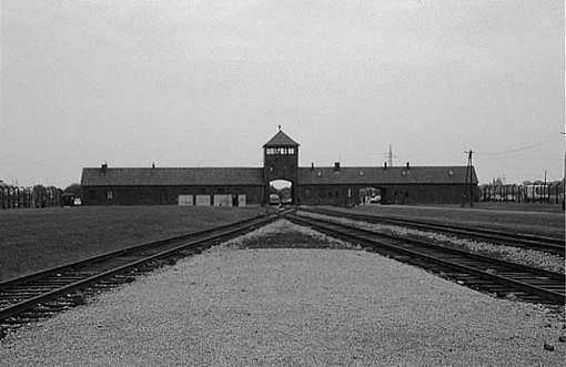 In occasione della Giornata della Memoria, lo spettacolo &quot;999 donne sopravvissute ad Auschwitz&quot;, di e con Fiorella Carpino