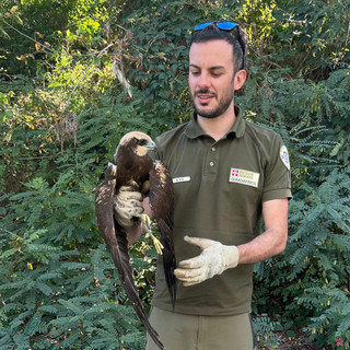 Alessandro Lago guardiaparco del Parco Paleontologico