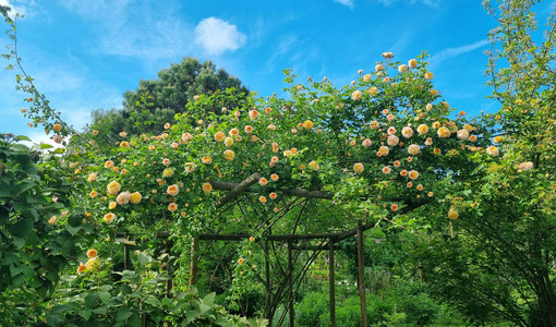 Il Fai riapre le porte del Giardino segreto di Arianna