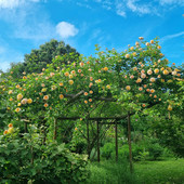 Il Fai riapre le porte del Giardino segreto di Arianna