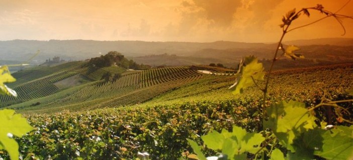 Le colline di Langhe, Roero e Monferrato patrimonio Unesco al centro del viaggio social di Miss Italia Le colline di Langhe, Roero e Monferrato patrimonio Unesco al centro del viaggio social di Miss Italia