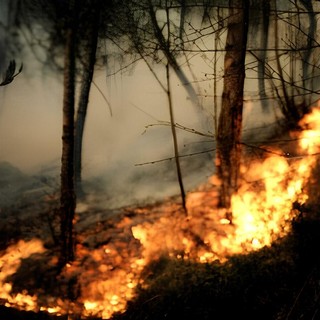 Incendi boschivi, la Regione estende lo stato di emergenza a tutto il territorio
