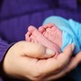 Bonus nuovi nati, l'Inps ha già liquidato oltre 40mila domande in Piemonte Bonus nuovi nati, l'Inps ha già liquidato oltre 40mila domande in Piemonte