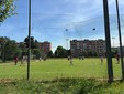 Immagini di alcuni momenti del pomeriggio di giochi e divertimento