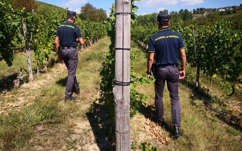 Dalla vigna al ristorante, l'estate &quot;in nero&quot; scoperta dai finanzieri di Asti e Canelli
