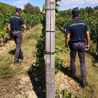 Dalla vigna al ristorante, l'estate &quot;in nero&quot; scoperta dai finanzieri di Asti e Canelli