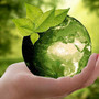 Giornata della Terra 2024: l’impegno di Agripiemonteform e Confagricoltura Piemonte per un futuro sostenibile