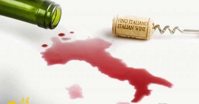 Falso vino Dop e Igp, la Guardia di Finanza colpisce le frodi in cantina