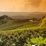 Le colline di Langhe, Roero e Monferrato patrimonio Unesco al centro del viaggio social di Miss Italia Le colline di Langhe, Roero e Monferrato patrimonio Unesco al centro del viaggio social di Miss Italia
