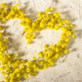 Cosa fare nel week-end: 8 marzo tra arte, polenta e passeggiate