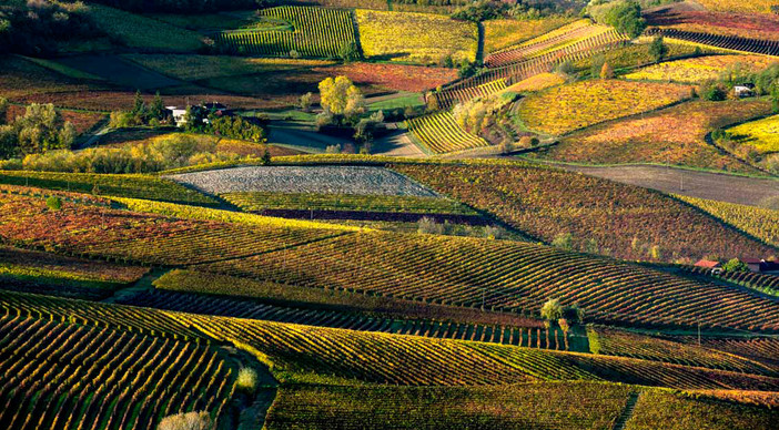 Geometrie autunnali dell'Astigiano riprese da Enzo Isaia Geometrie autunnali dell'Astigiano riprese da Enzo Isaia