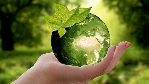 Giornata della Terra 2024: l’impegno di Agripiemonteform e Confagricoltura Piemonte per un futuro sostenibile