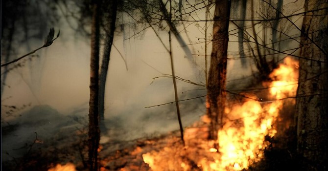 Incendi boschivi, la Regione estende lo stato di emergenza a tutto il territorio