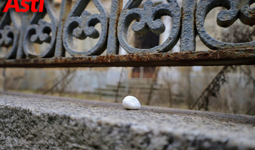 MerfePhoto MerfePhoto