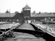 Immagine d'archivio di un campo di concentramento