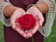 Un fiore e una preghiera, omaggio alle mamme che non ci sono più