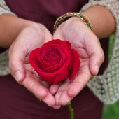 Un fiore e una preghiera, omaggio alle mamme che non ci sono più