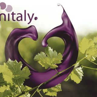 Il Consorzio Barbera d’Asti e Vini del Monferrato al Vinitaly 2024 con un calendario ricco di eventi