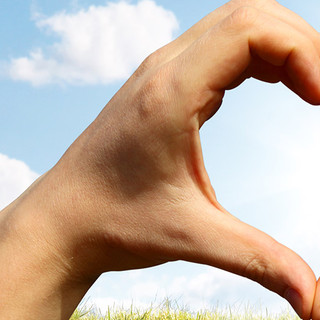 Servizio civile universale: un posto disponibile al CSVAA di Asti