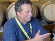 Gainfranco Torelli