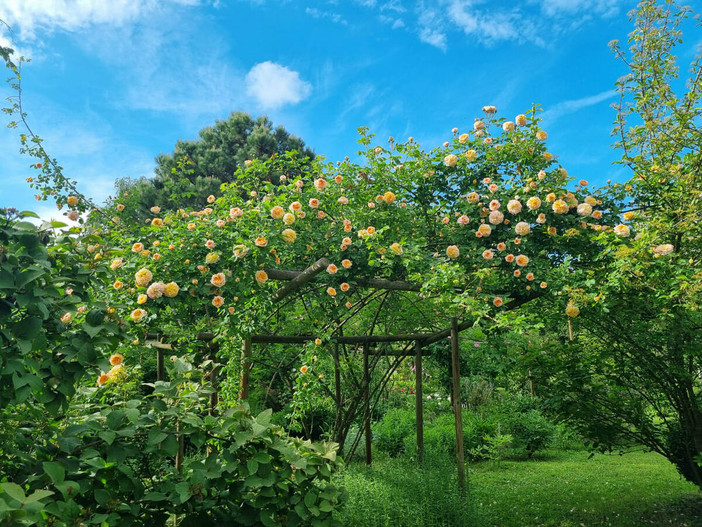 Il Fai riapre le porte del Giardino segreto di Arianna