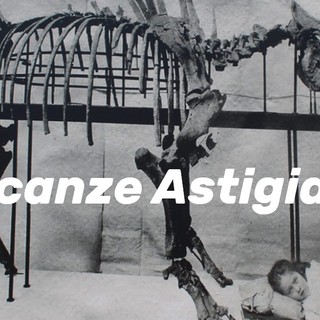 Il rinoceronte ritrovato a Dusino San Michele, custodito al Museo Regionale di Scienze Naturali di Torino