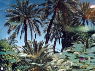 Il mondo visto dall'obiettivo di Emanuele