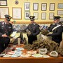 Grazzano Badoglio: arrestato 36enne con oltre tre chili di marijuana e hashish Grazzano Badoglio: arrestato 36enne con oltre tre chili di marijuana e hashish