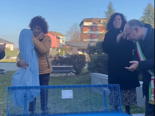 Galleria fotografica MerfePhoto