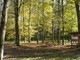 Il parco di Rocchetta Tanaro Il parco di Rocchetta Tanaro