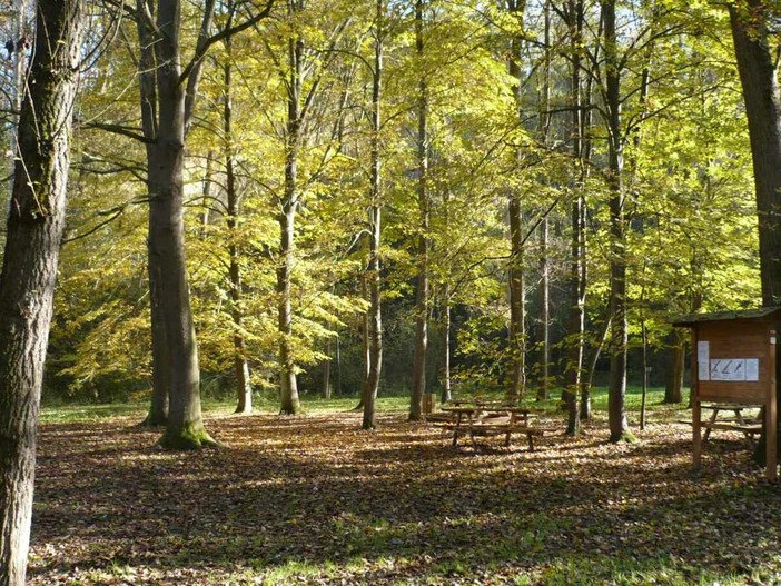 Il parco di Rocchetta Tanaro