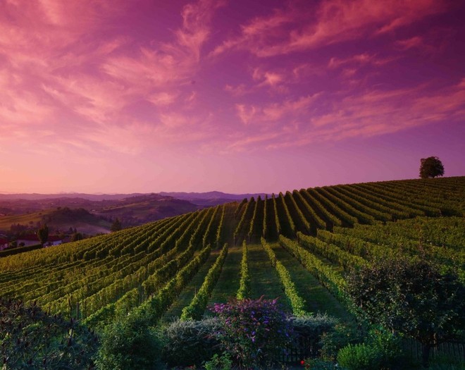 In certi posti anche il cielo vira ai colori del vino (pH  Mauro Parmesani)