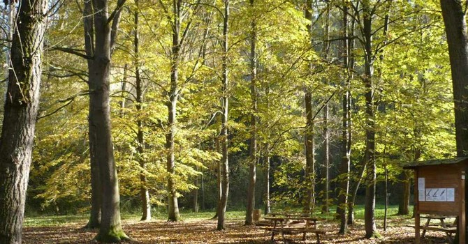 Il parco di Rocchetta Tanaro