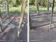 Parco Lungo Tanaro, Malandrone presenta un’interpellanza: “Area giochi nel degrado e potenzialmente pericolosa” Parco Lungo Tanaro, Malandrone presenta un’interpellanza: “Area giochi nel degrado e potenzialmente pericolosa”