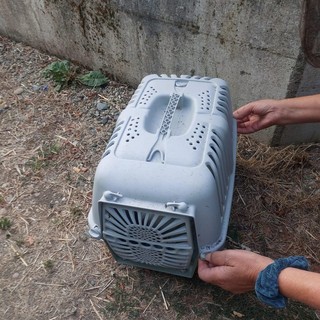 L'immagine dal profilo FB di uno dei volontari