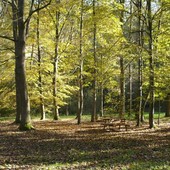 Il parco di Rocchetta Tanaro Il parco di Rocchetta Tanaro