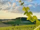 Immagine di Paola Bussa per il concorso Astigiano terra di amore Immagine di Paola Bussa per il concorso Astigiano terra di amore