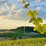 Immagine di Paola Bussa per il concorso Astigiano terra di amore Immagine di Paola Bussa per il concorso Astigiano terra di amore