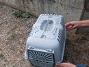 L'immagine dal profilo FB di uno dei volontari