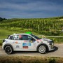 Rally Regione Piemonte / Il neivese Sergio Patetta e Alessandro Alocco saremo al via con una Lancia Ypsilon