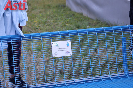 Galleria fotografica MerfePhoto Galleria fotografica MerfePhoto